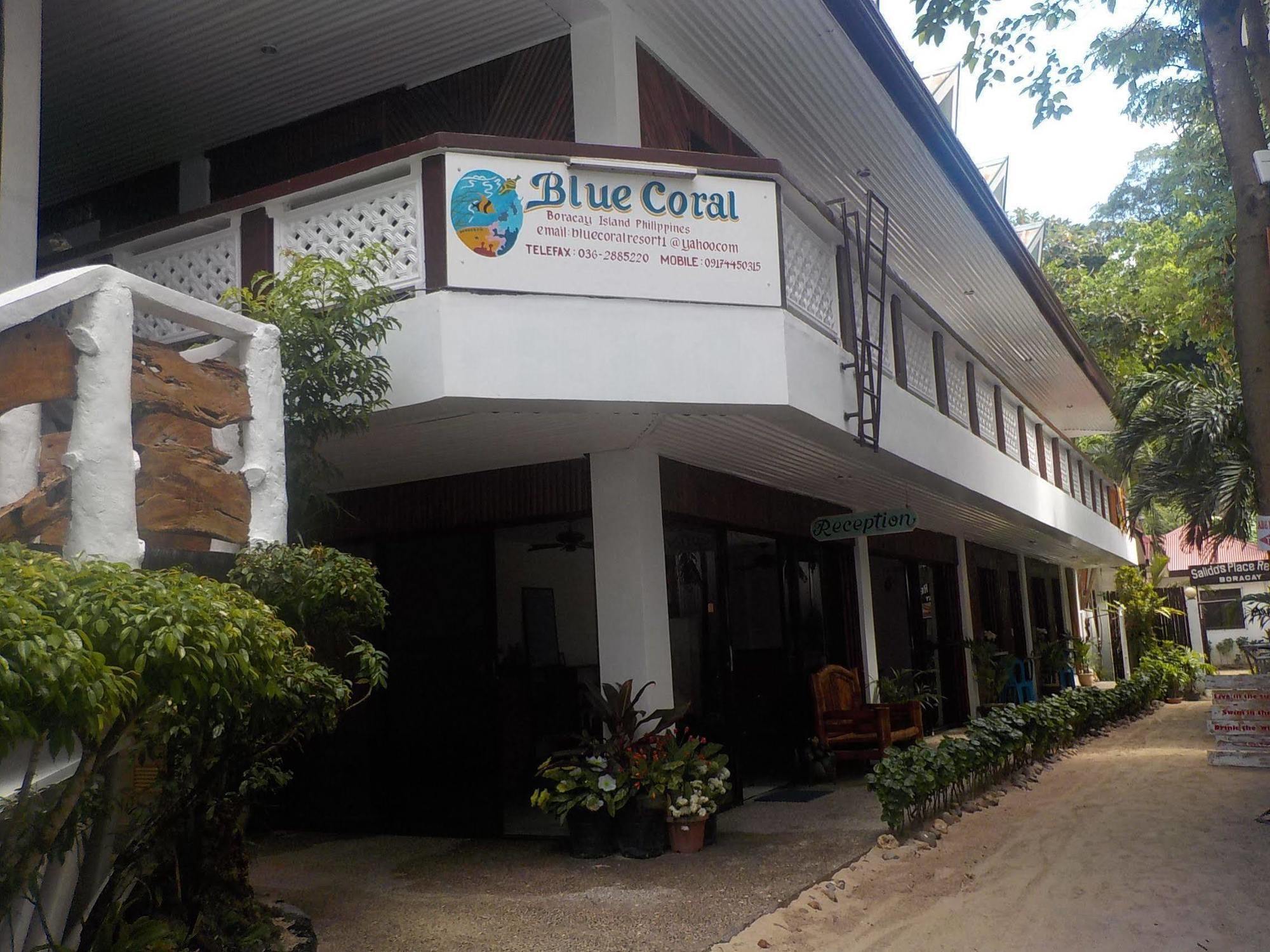 Blue Coral Boracay